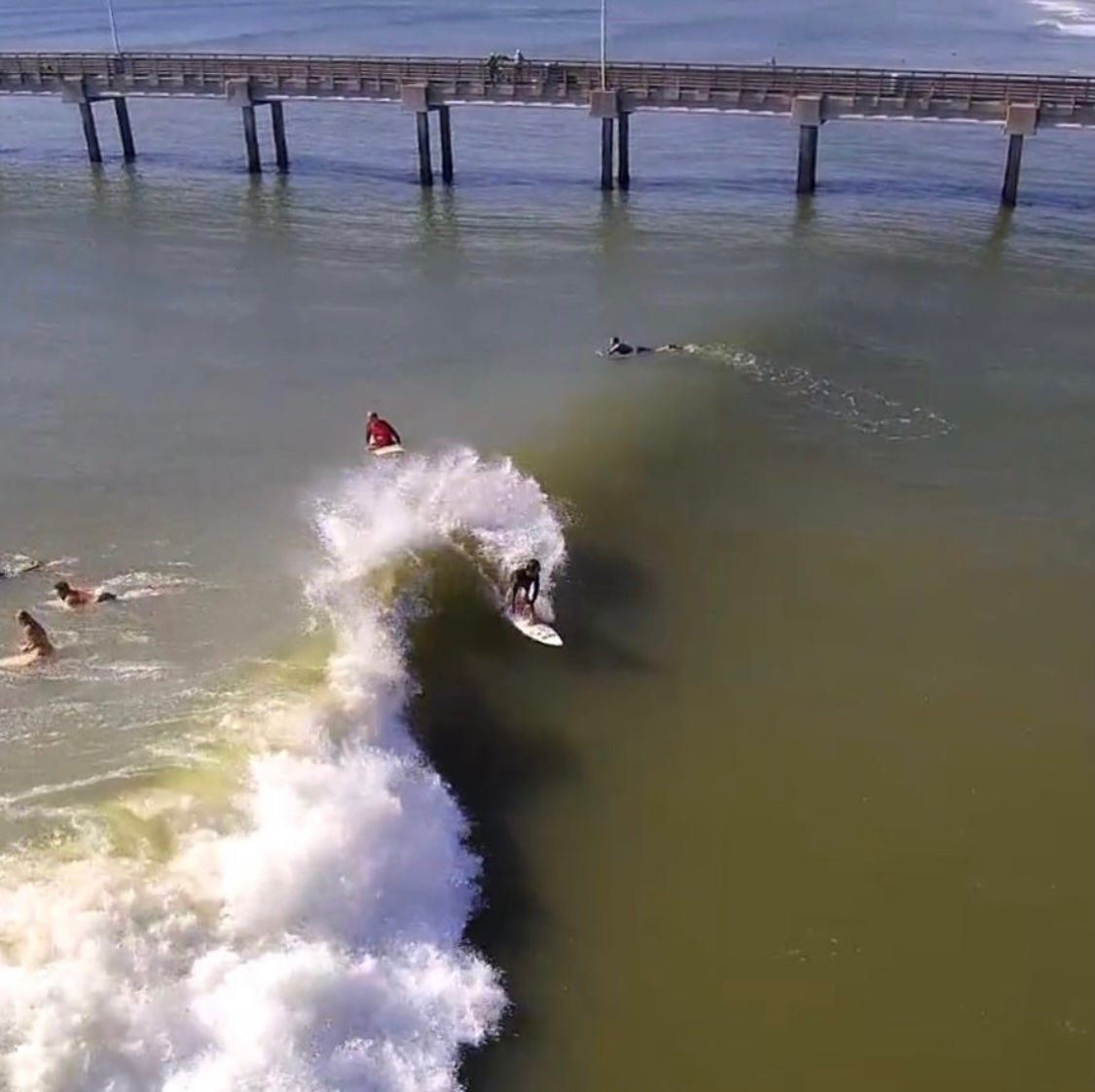 Surf | BoardHouse Surf & Skate